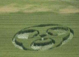 aerial of Wyler