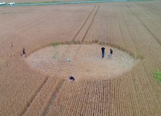 aerial of withheld