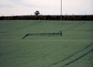 aerial of Martham