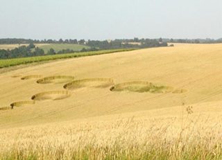 aerial of Bragbury Lane