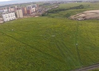 aerial of Sunny