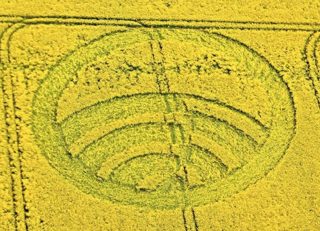 aerial of Yarnbury Castle