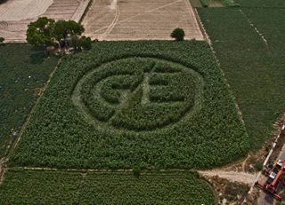 aerial of Najafgarh