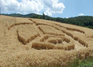 aerial of Corneto di Toano