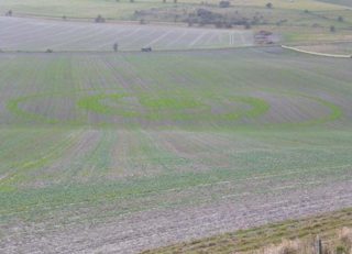 other of Milk Hill from cc