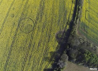 aerial of Tarlton Down