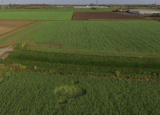 aerial of Hoeven