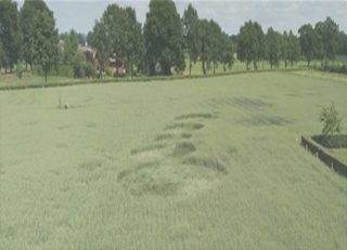 aerial of Nettelhorst
