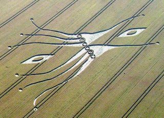 aerial of East Kennett