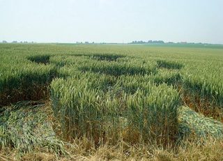 aerial of Momalle