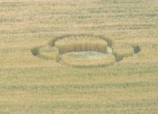 aerial of Ravinali