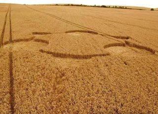 aerial of Bishops Cannings