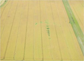 aerial of Alton Barnes