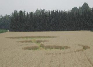 aerial of Bienate