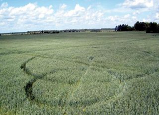 aerial of Lecava