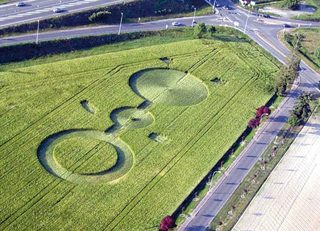aerial of Amiliy