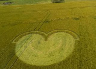 aerial of Wilton Windmill