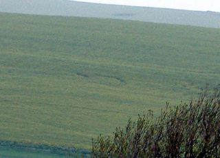 aerial of Alfriston