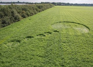aerial of Booschenhoofd