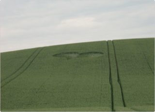 aerial of Beelsby
