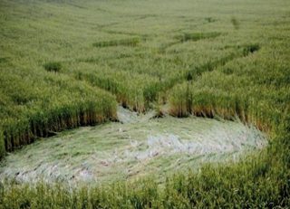 aerial of Betrix