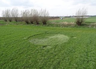 aerial of Hoeven