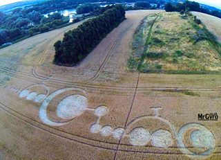 aerial of Roydon