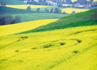 aerial of Zierenberg