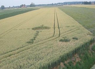 aerial of Standdaarbuiten