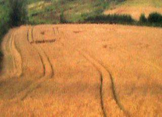 aerial of Illminster