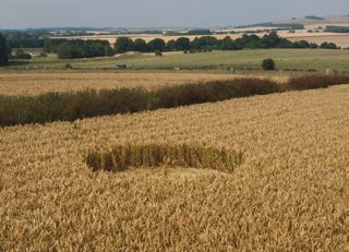 aerial of Waden Hill