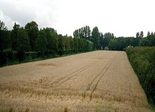 aerial of Charloisse Poort