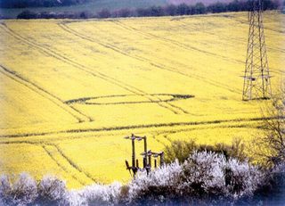aerial of Ringmer