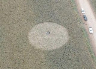 aerial of Las Perdices