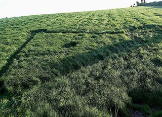 aerial of Madron Holy Well