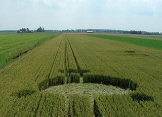 aerial of Standdaarbuiten