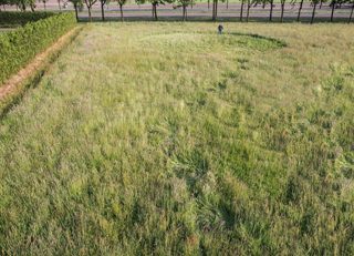 aerial of Bosschenhoofd