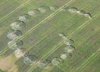 aerial of Lawley