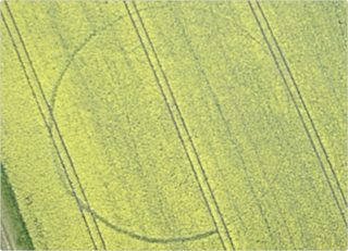 aerial of Hannington