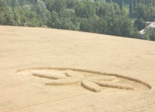 aerial of Lipnik
