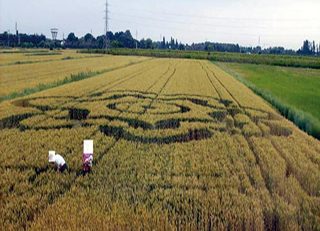 aerial of Lignano Sabbiadoro
