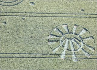 aerial of Allington