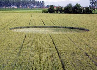 aerial of Appendini di Buriasco