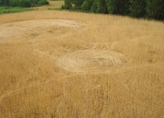 aerial of Wistka Szlachecka