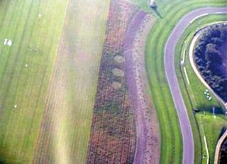 aerial of Goodwood