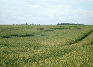 aerial of Freloux