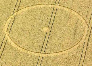 aerial of Allington