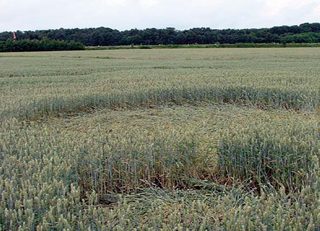 aerial of Bosschenhoofd