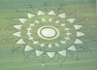 aerial of Salenghe