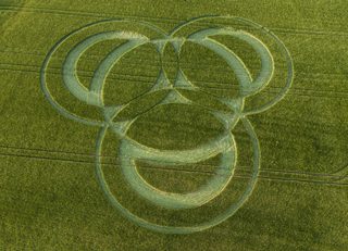 aerial of Long Wood